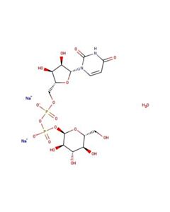 Astatech URIDINE 5-DIPHOSPHOGLUCOSE DISODIUM SALT HYDRATE; 1G; Purity 95%; MDL-MFCD20441966